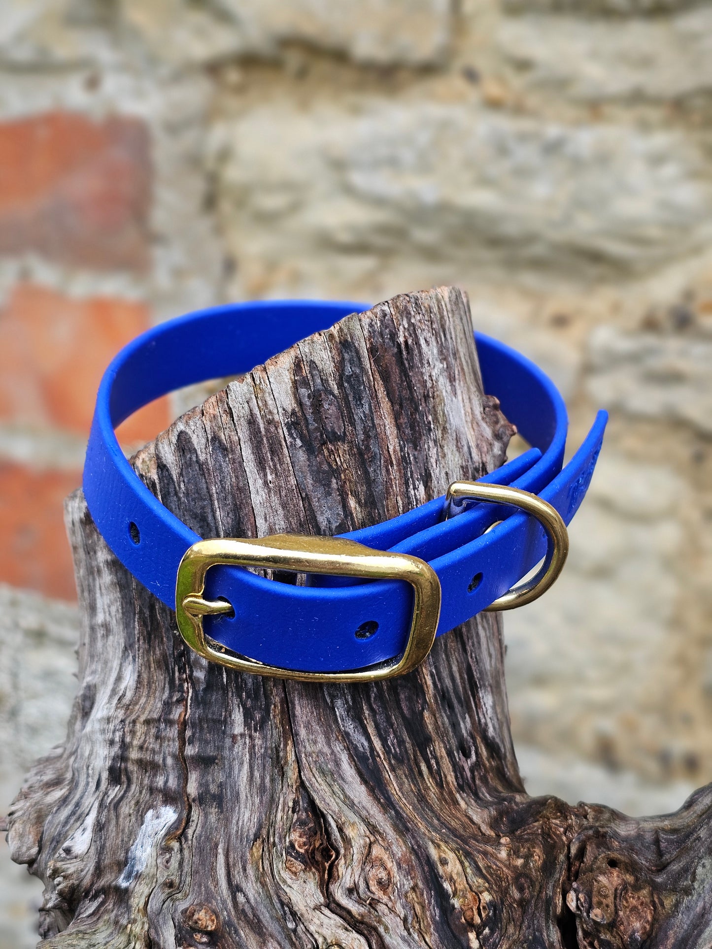 Royal Blue - Waterproof BioThane© Dog Collar