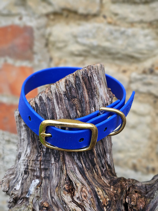 Royal Blue - Waterproof BioThane© Dog Collar