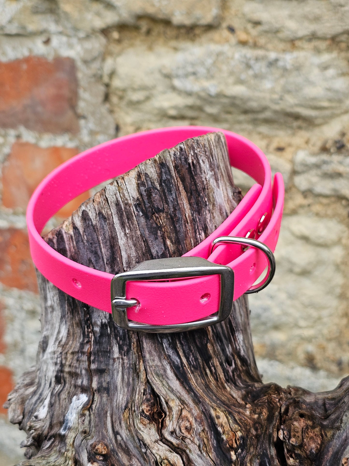 Passion Pink - Waterproof BioThane© Dog Collar