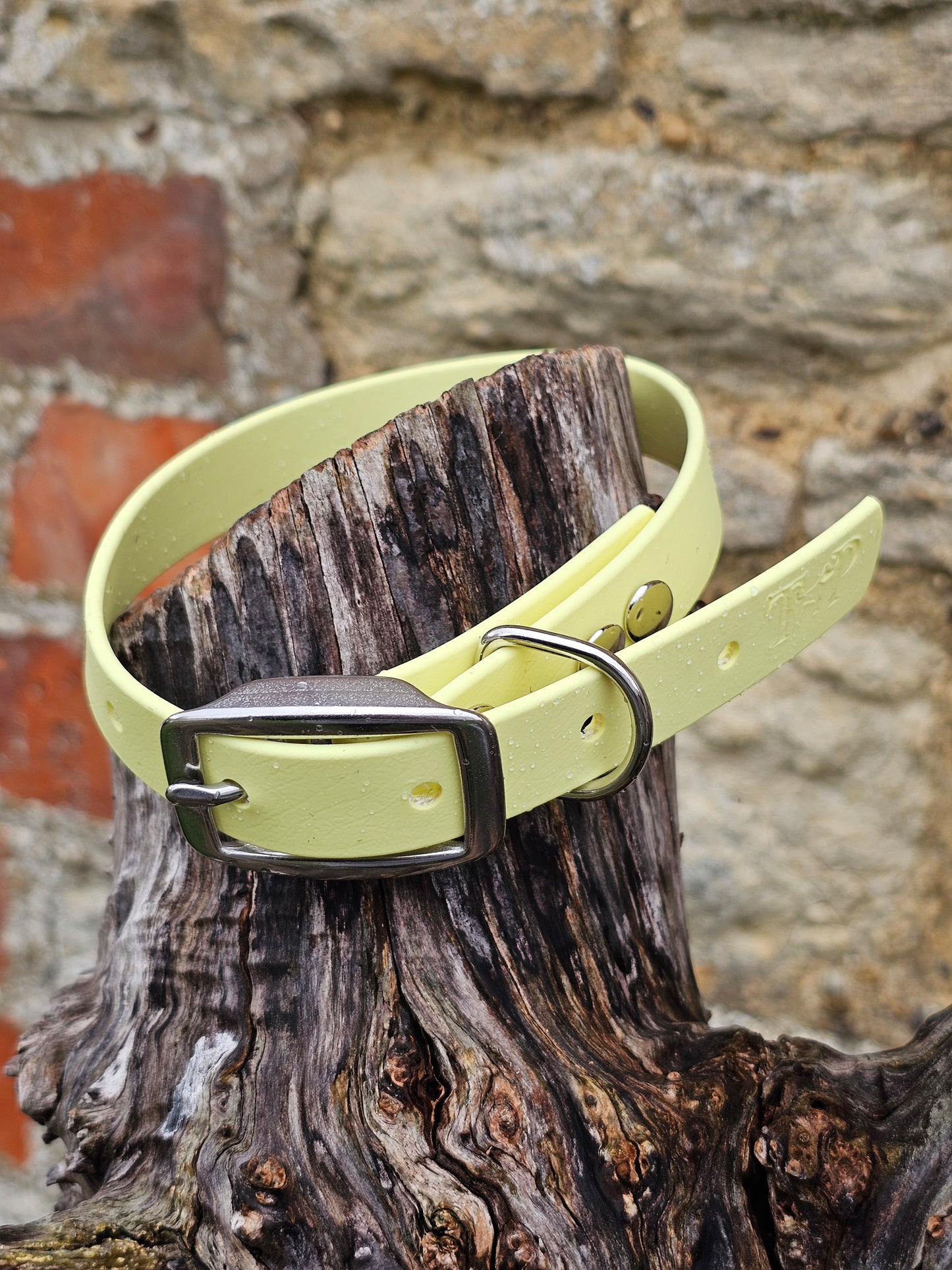 Lemon - Waterproof BioThane© Dog Collar