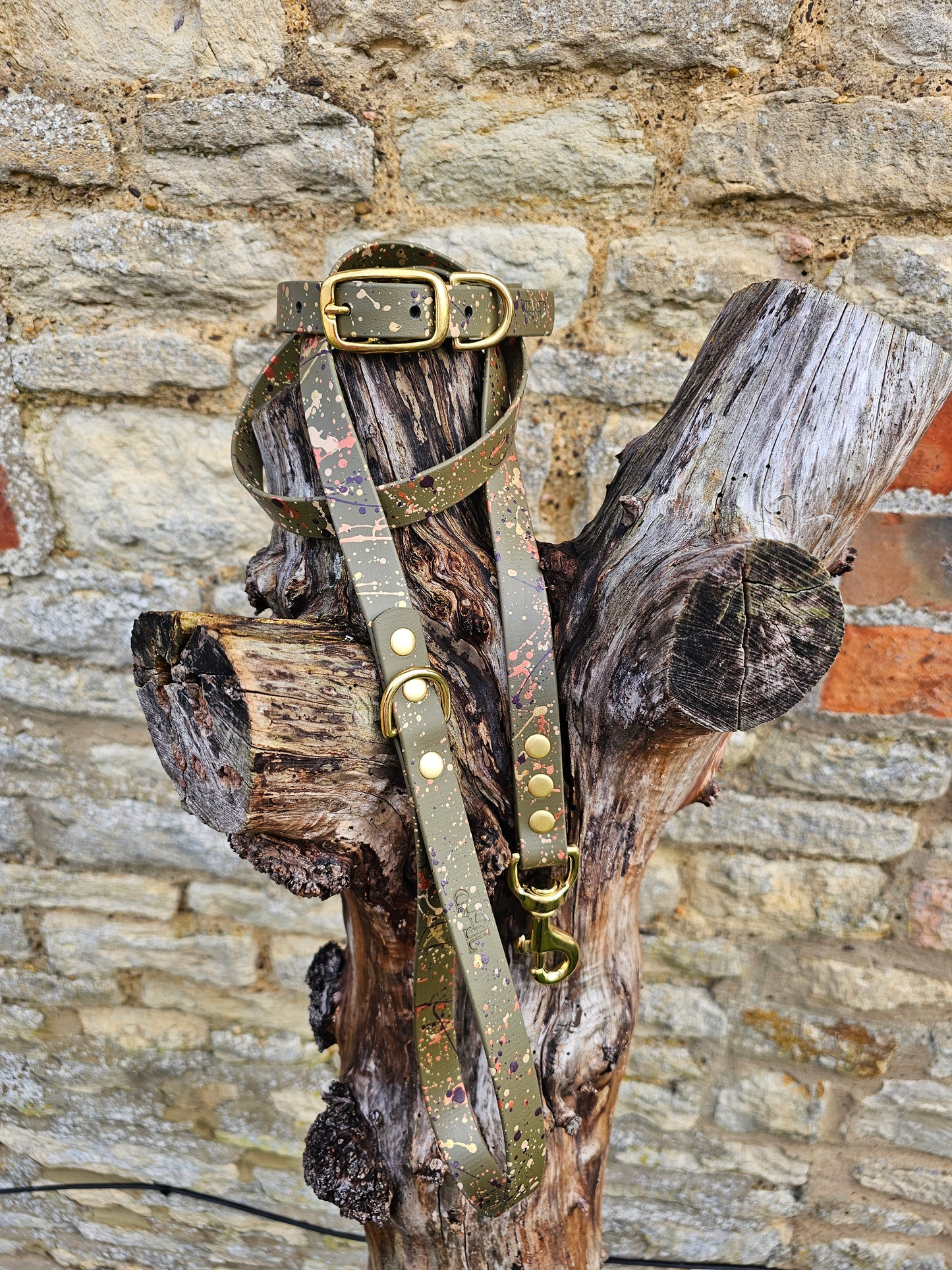 Celestial Olive – Waterproof BioThane® Splatter Dog Lead