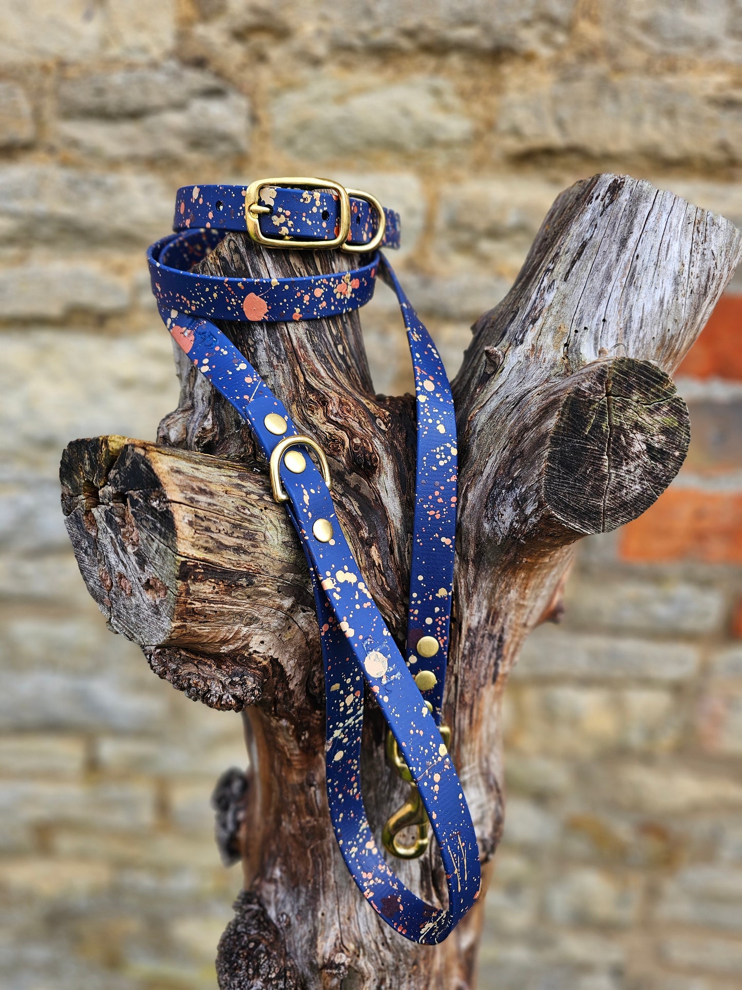 NEW!!! - Celestial Splatter Dog Collar & Lead Bundle - BioThane® (24-piece Bundle)