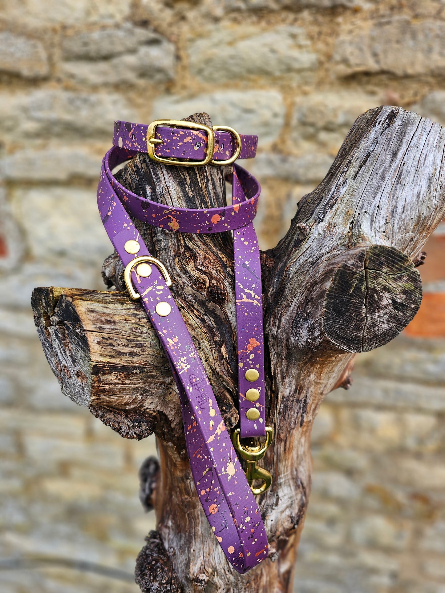 Celestial Aubergine – Waterproof BioThane® Splatter Dog Lead