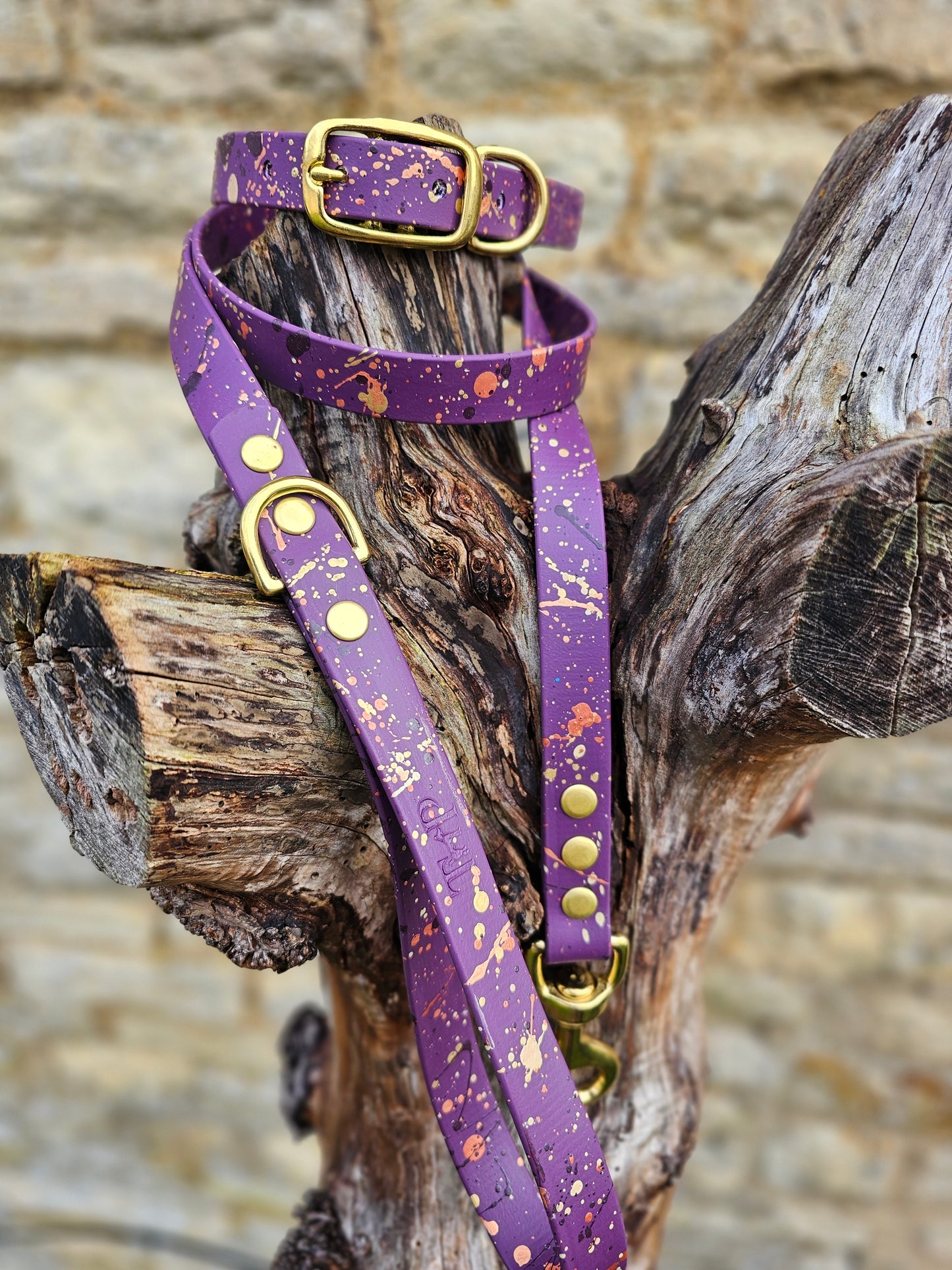 NEW!!! - Celestial Splatter Dog Collar & Lead Bundle - BioThane® (24-piece Bundle)