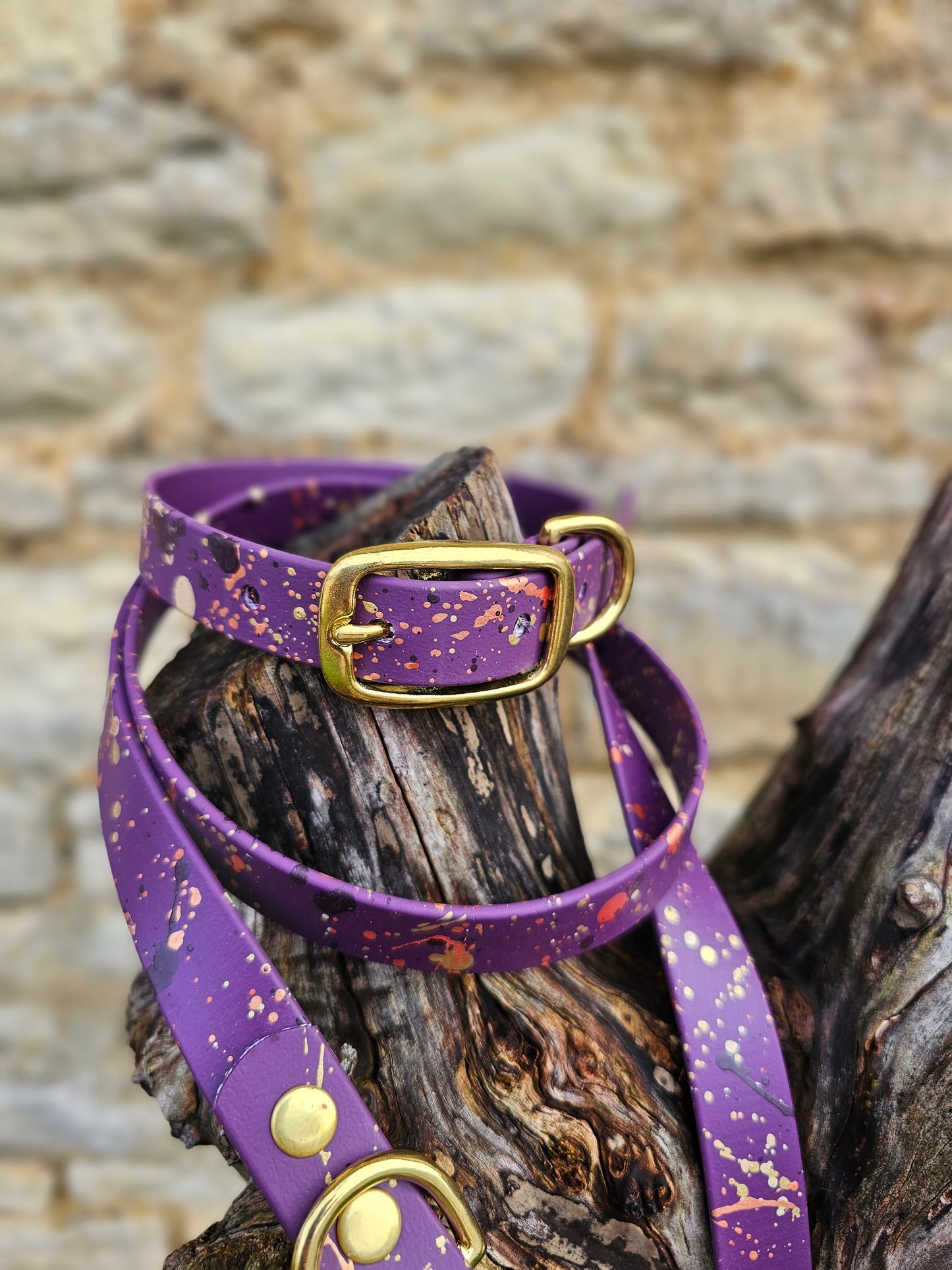 Celestial Aubergine - Biothane waterproof Splatter Design Dog Collar