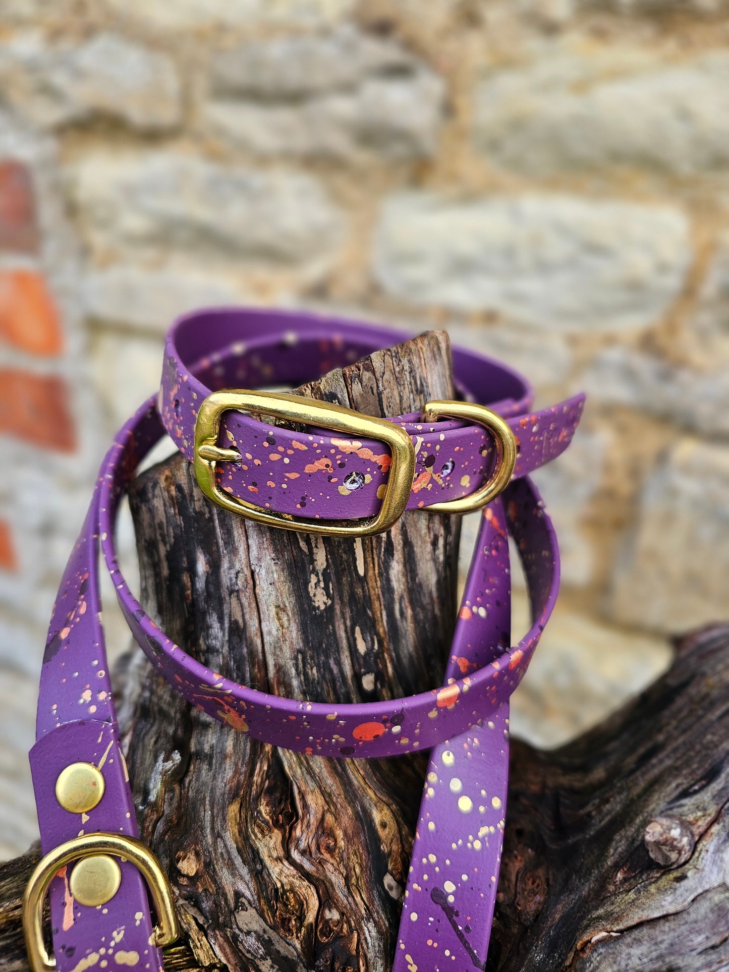 NEW!!! - Celestial Splatter Dog Collar & Lead Bundle - BioThane® (24-piece Bundle)