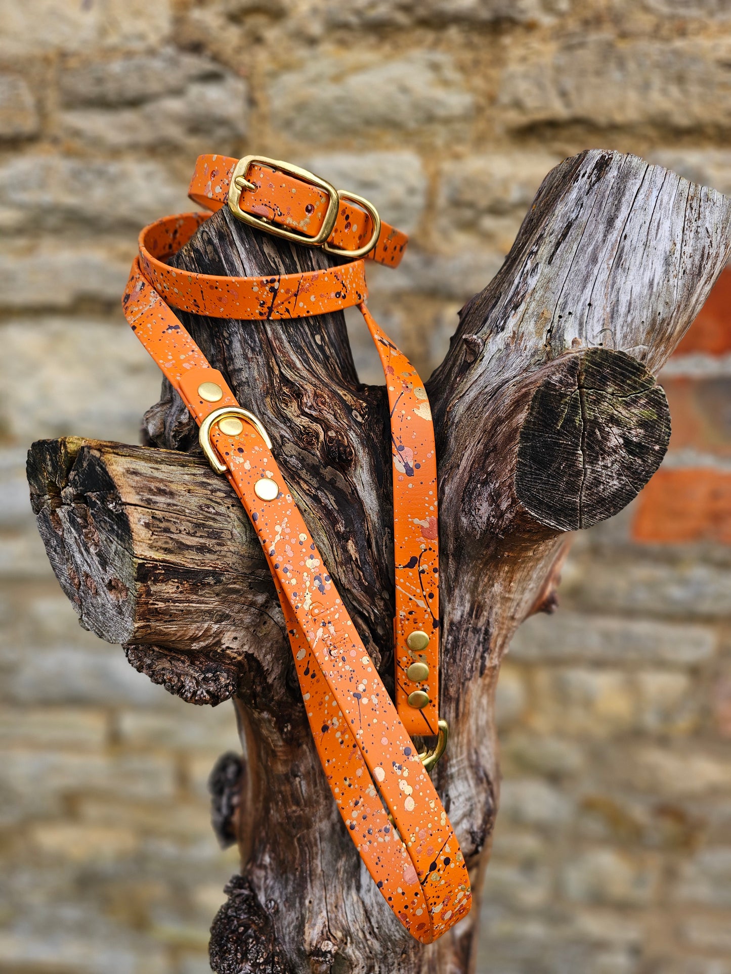 NEW!!! - Celestial Splatter Dog Collar & Lead Bundle - BioThane® (24-piece Bundle)