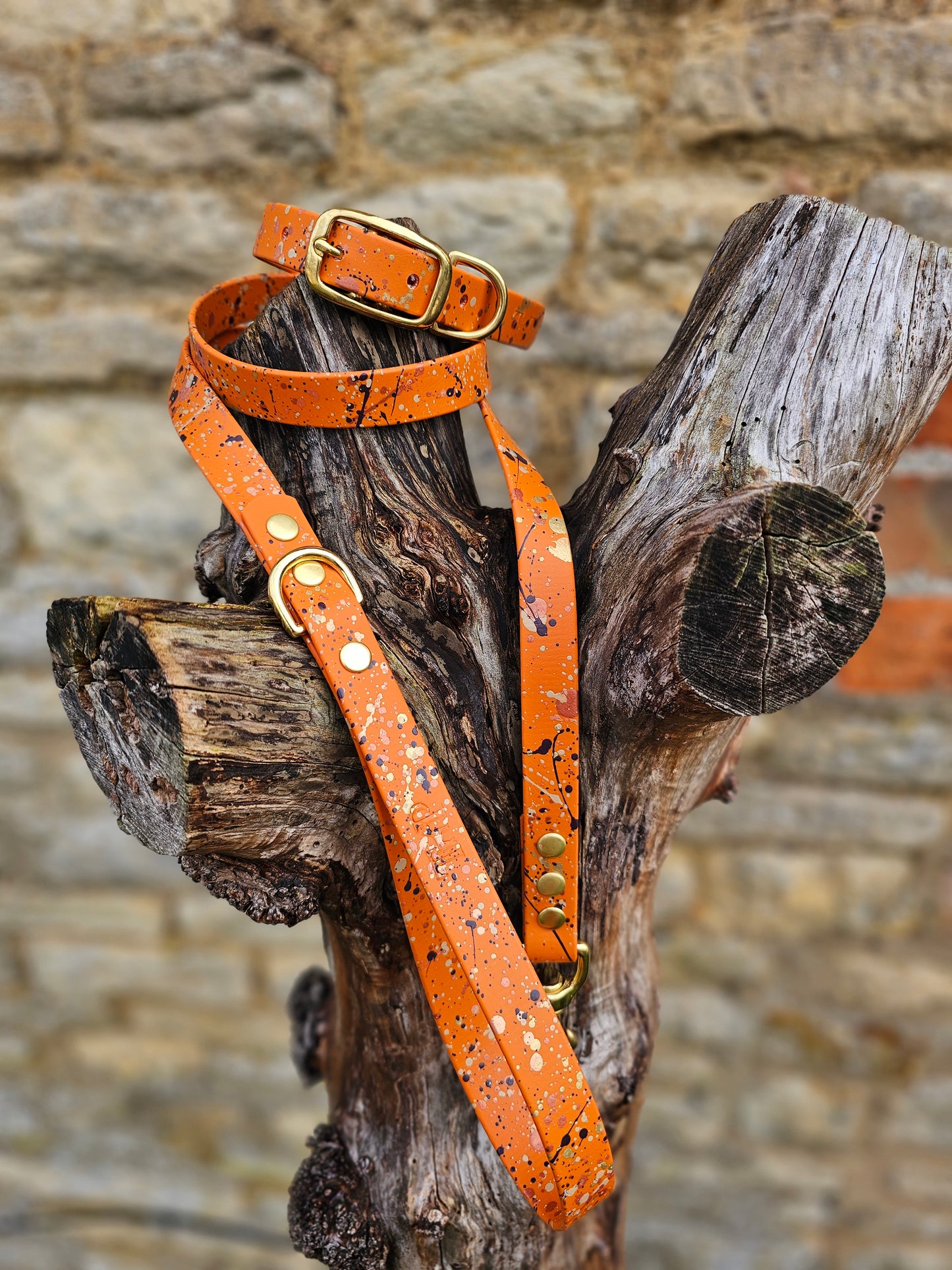 Celestial Burnt Orange – Waterproof BioThane® Splatter Dog Lead