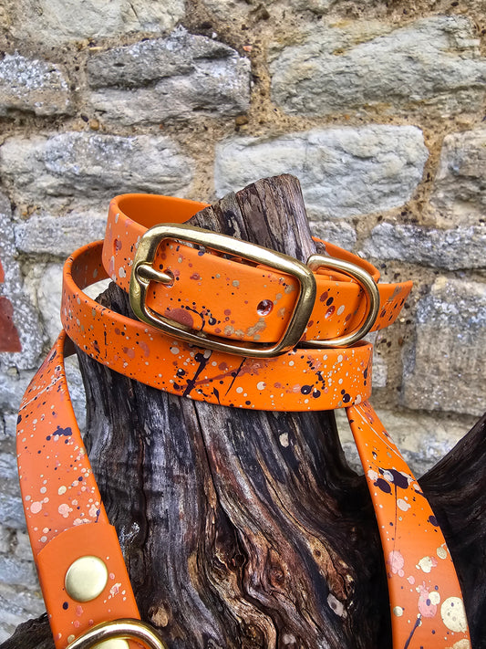 Celestial Burnt Orange - Biothane waterproof Splatter Design Dog Collar