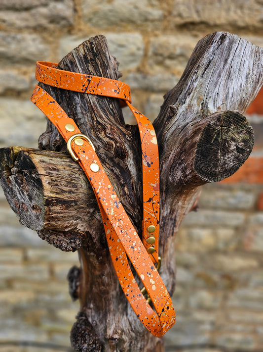Celestial Burnt Orange – Waterproof BioThane® Splatter Dog Lead