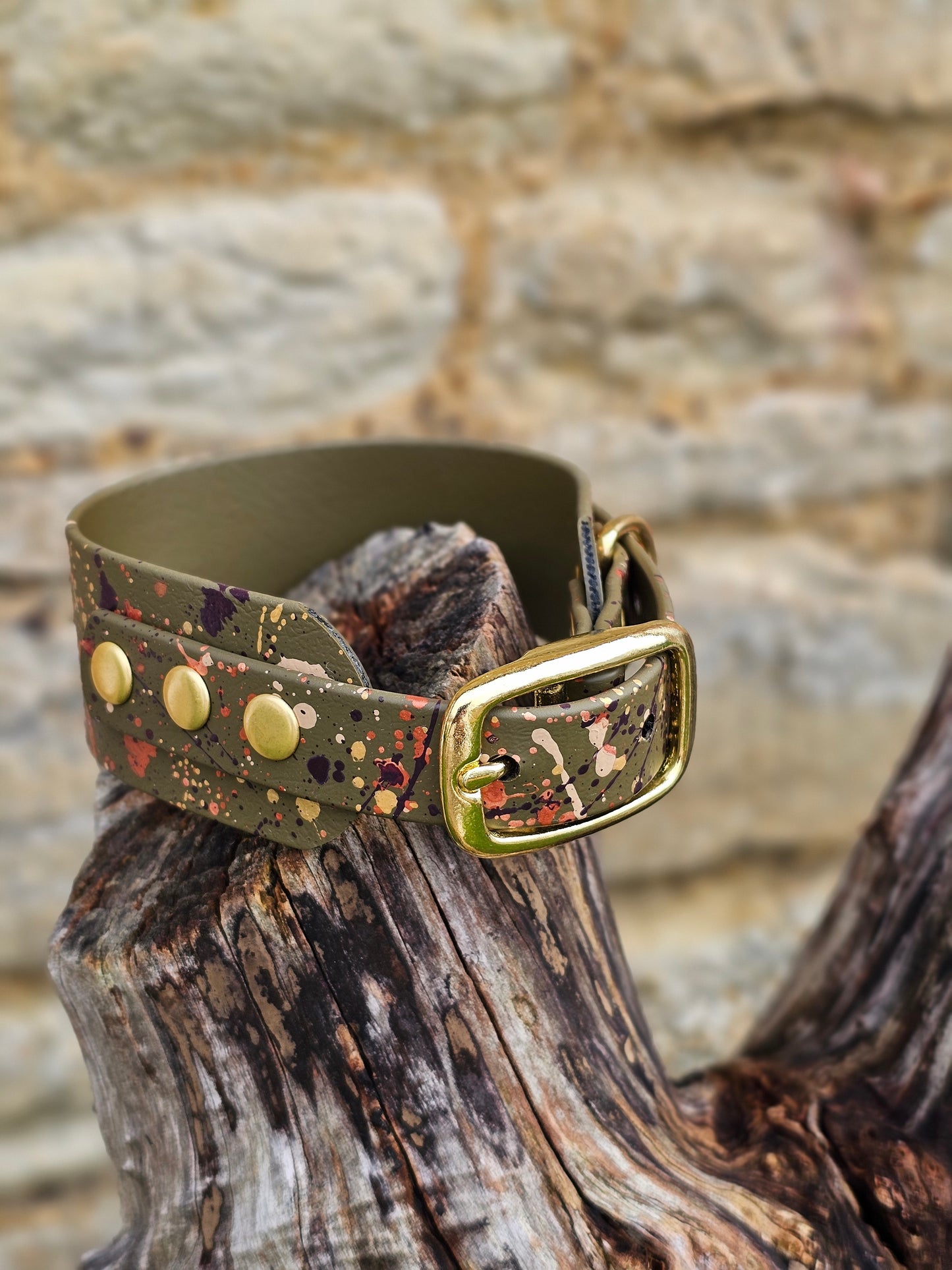 Celestial Olive - Waterproof BioThane© Sighthound Splatter Collar