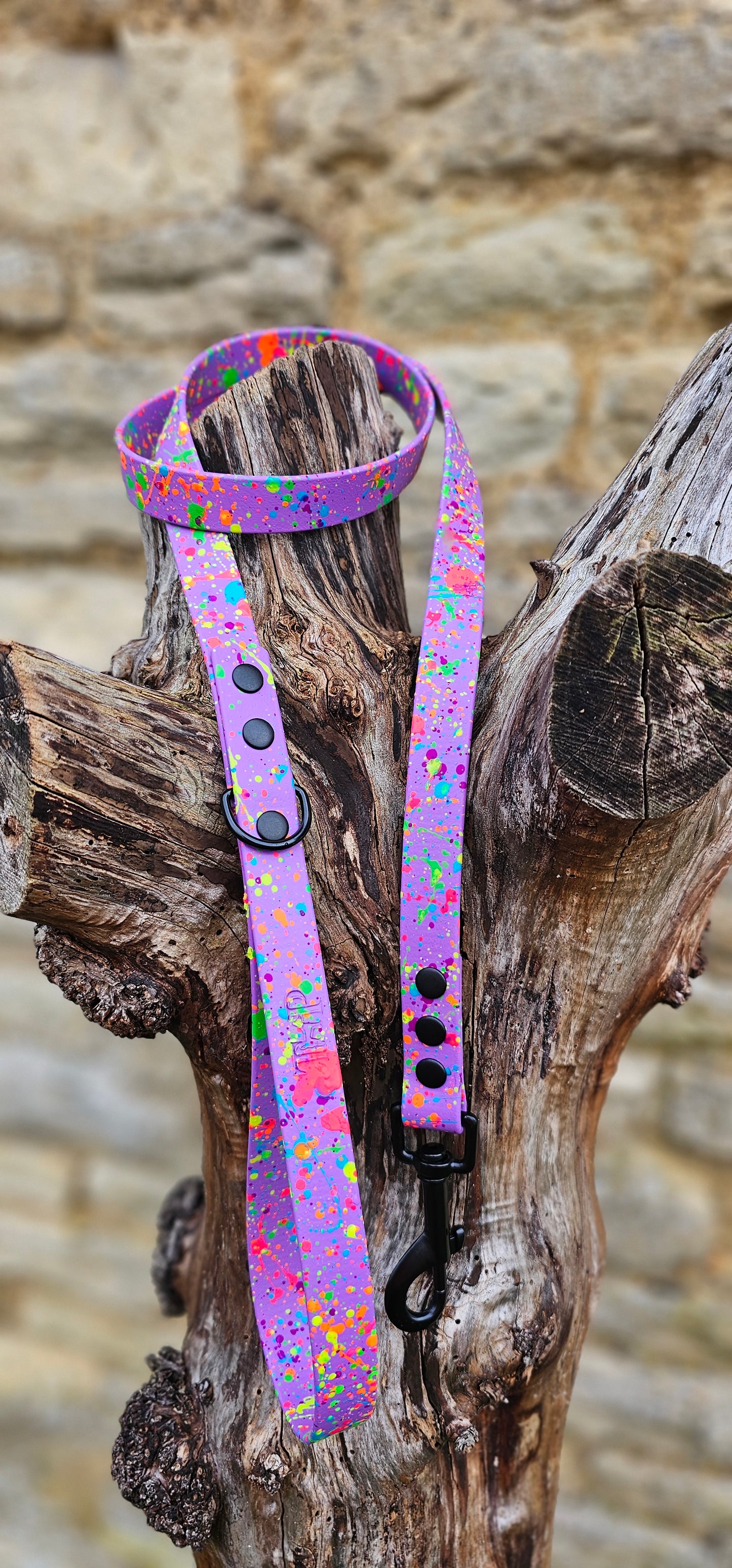 Amethyst - Waterproof BioThane® Neon Splatter Dog Lead