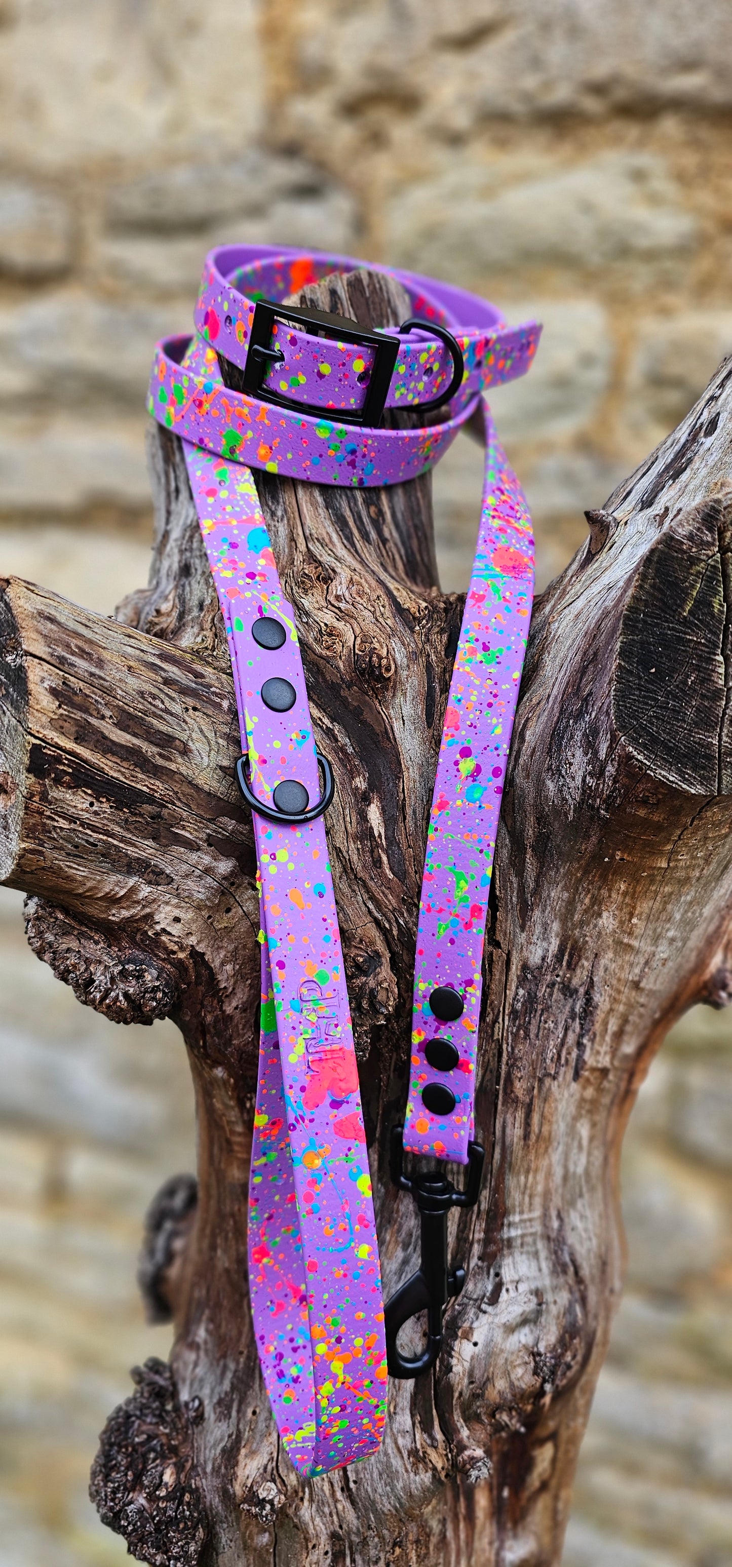 Amethyst - Waterproof BioThane® Neon Splatter Dog Lead