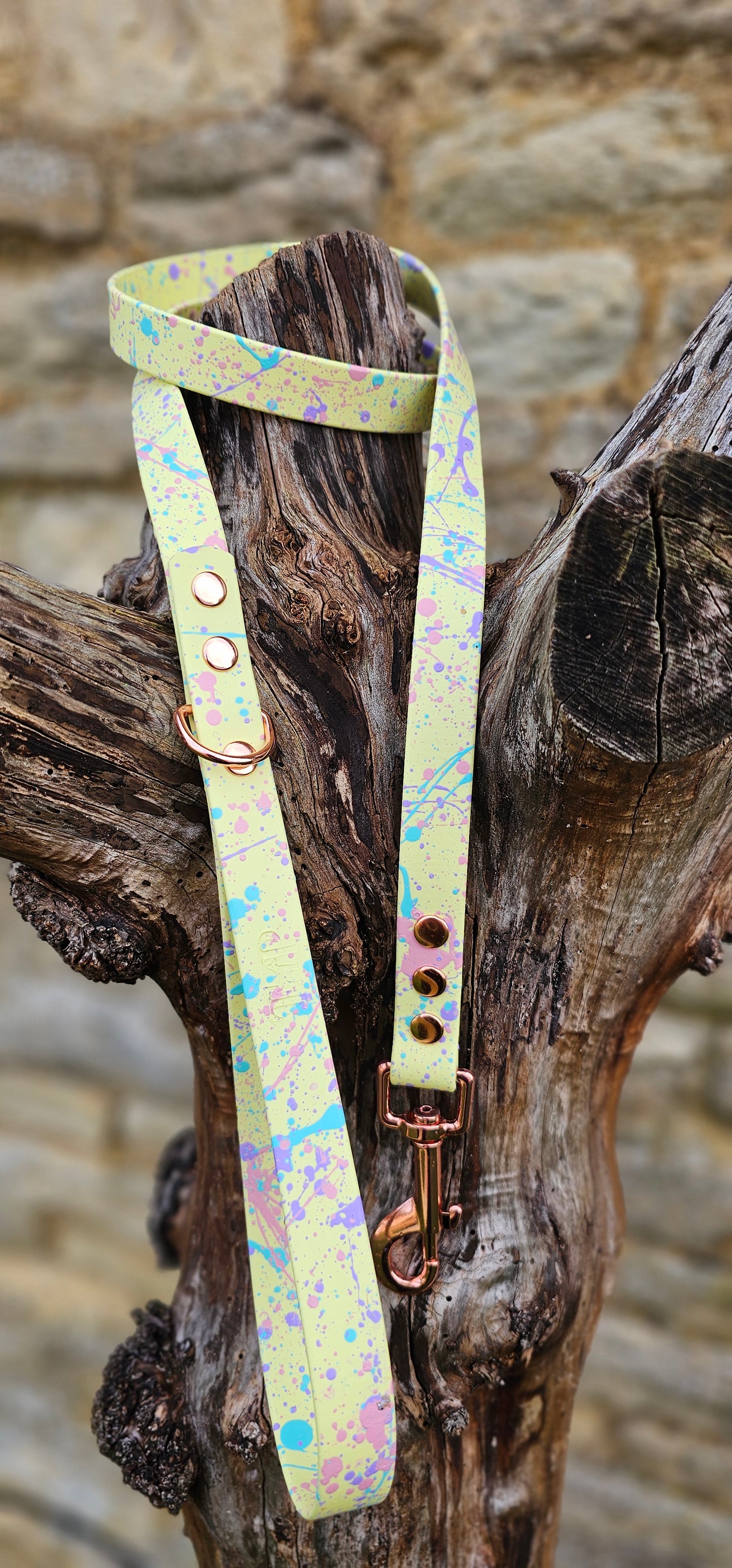 Lemon - Waterproof BioThane® Pastel Splatter Dog Lead