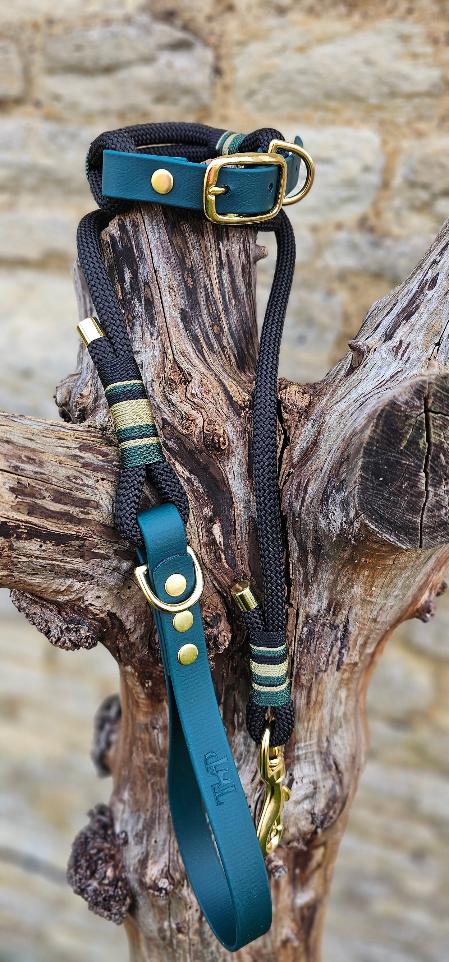 Buckingham - Premium Rope BioThane® Dog Collar