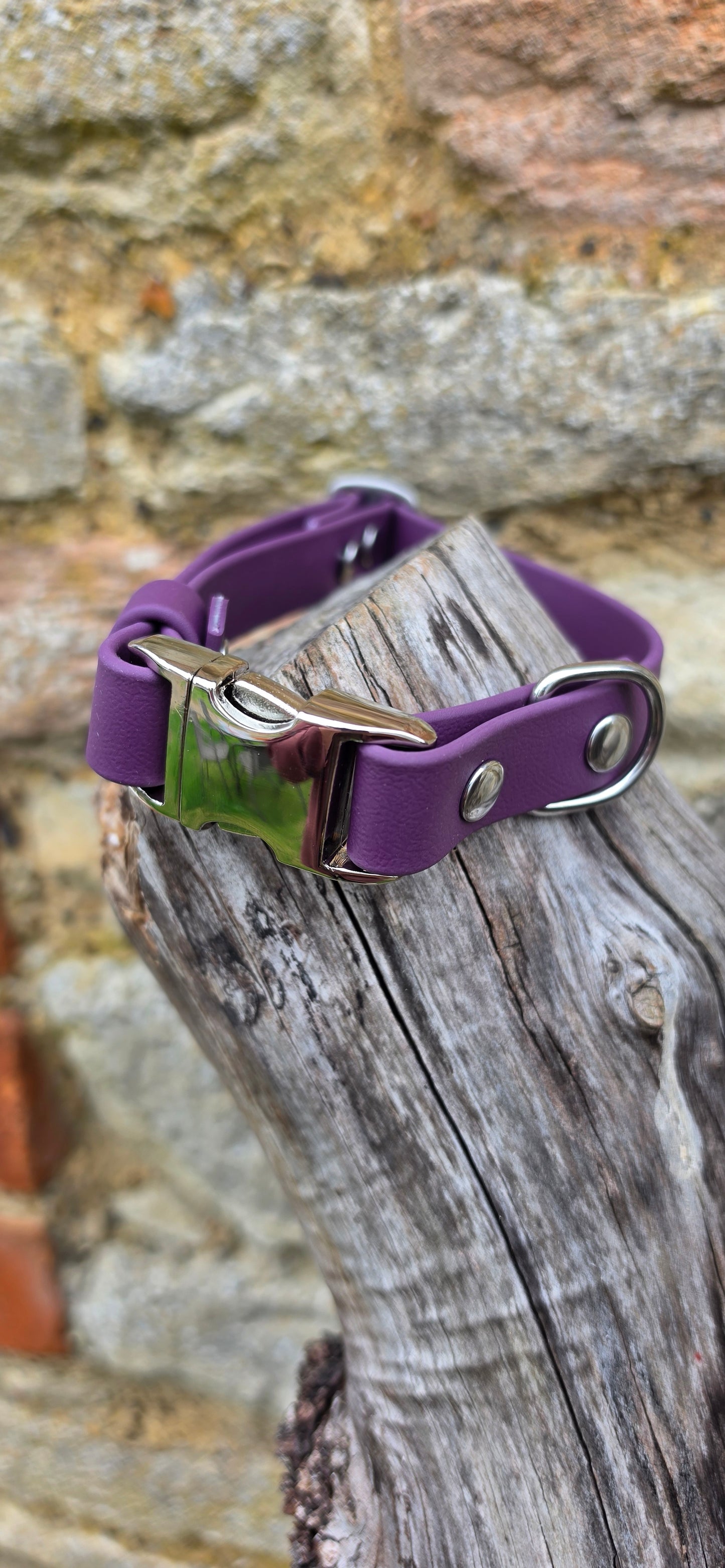 Aubergine Waterproof BioThane® Quick Release Dog Collar