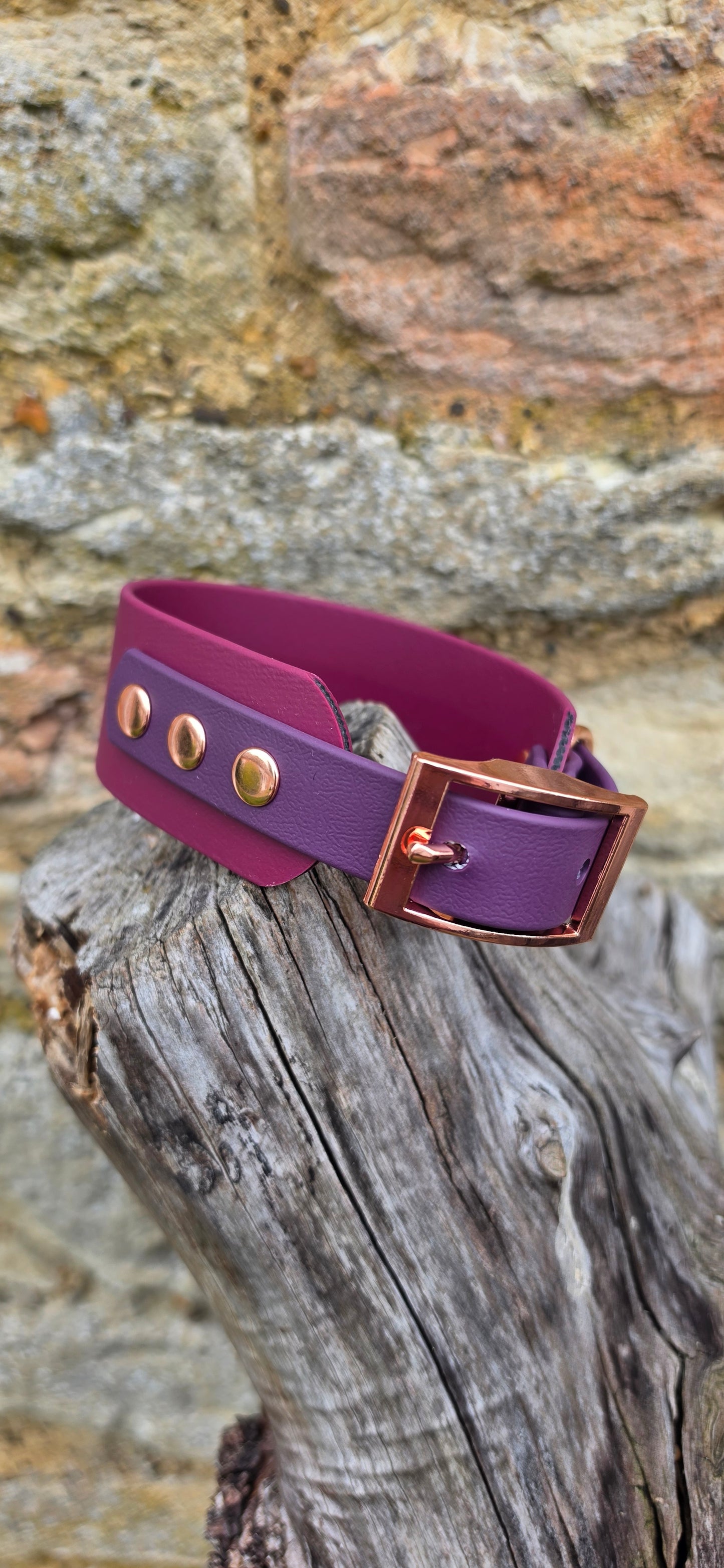 Burgundy & Aubergine - Waterproof BioThane© two-coloured Wide Fit Dog Collar / Sighthound Dog Collar