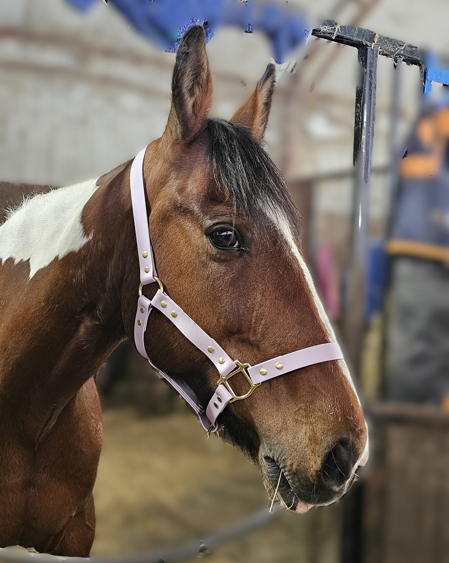 Lilac - Waterproof BioThane® Horse Halters / Head Collars