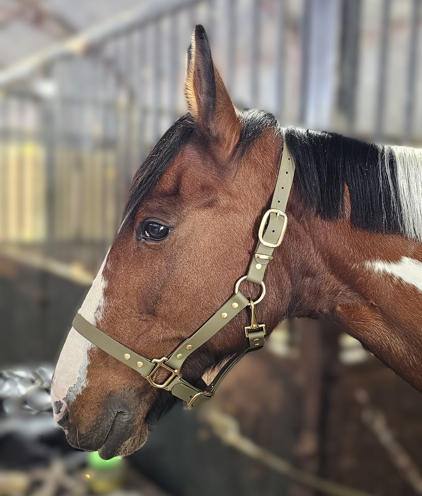 Olive - Waterproof BioThane® Horse Halters / Head Collars