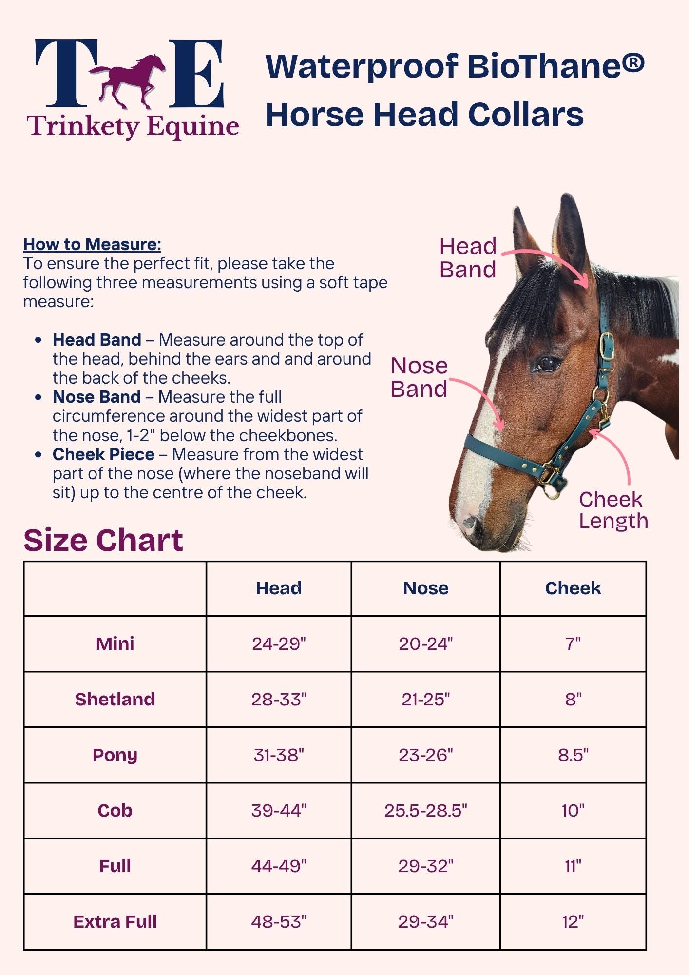 Teal - Waterproof BioThane® Horse Halters / Head Collars