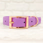 Amethyst Waterproof BioThane© Dog Collar