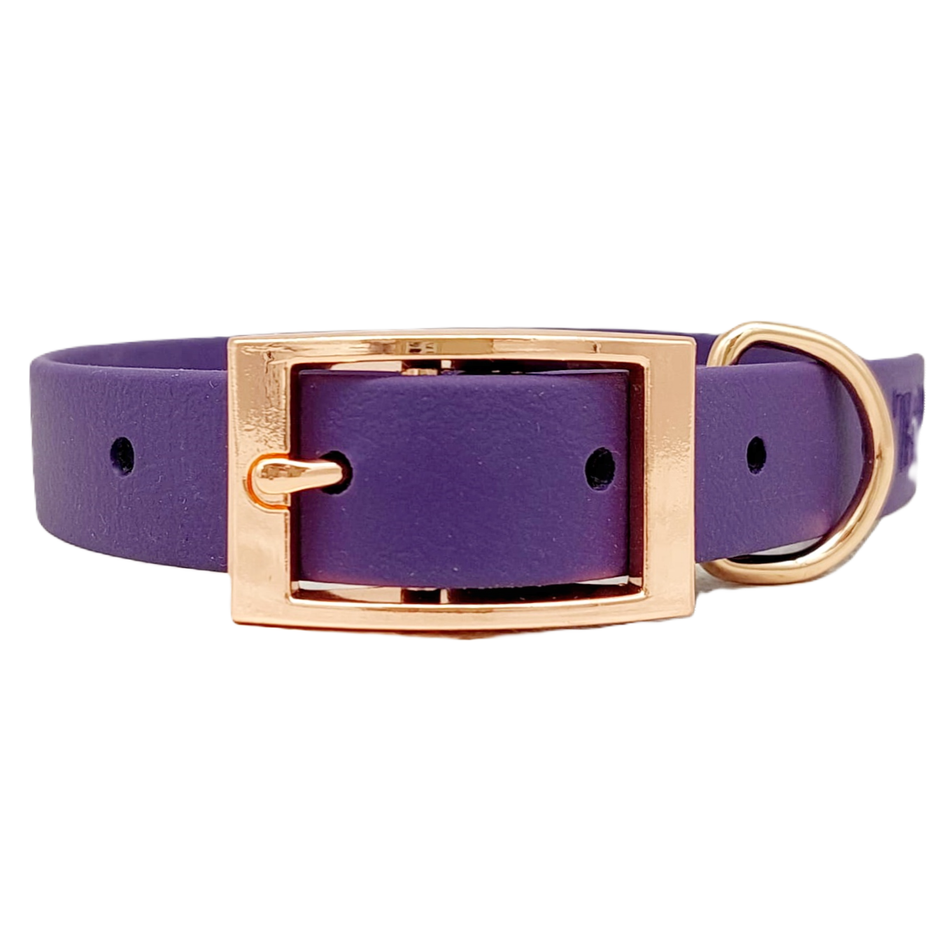 Purple Waterproof BioThane© Dog Collar