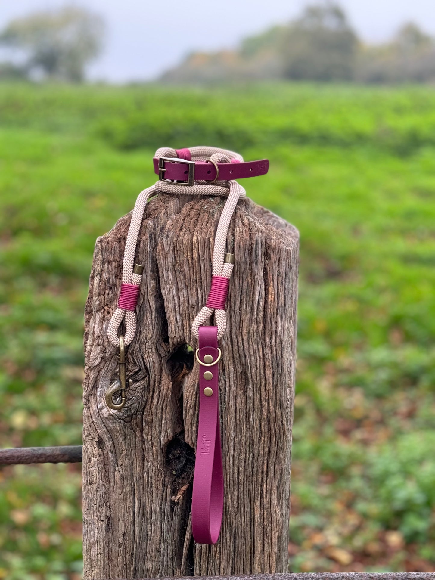 SAND & BURGUNDY - Classic Rope BioThane® Dog Lead