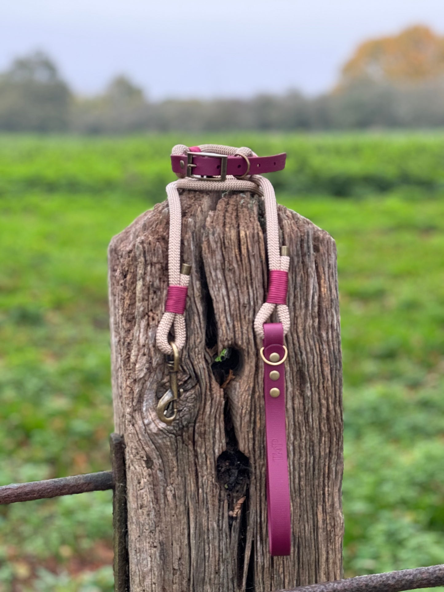 SAND & BURGUNDY - Classic Rope BioThane® Dog Collar