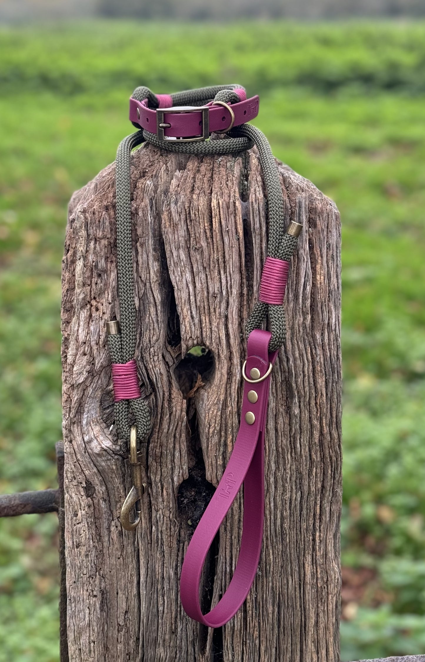 ARMY GREEN & BURGUNDY - Classic Rope BioThane® Dog Collar