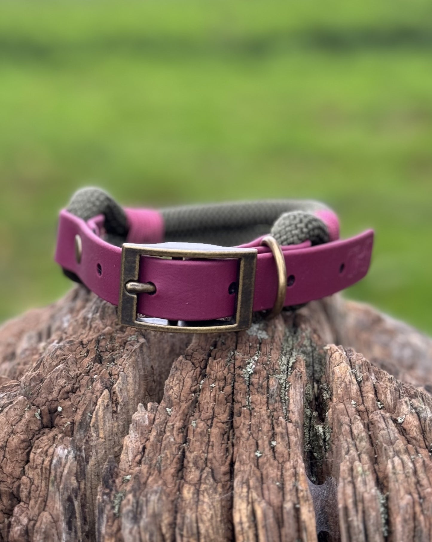 ARMY GREEN & BURGUNDY - Classic Rope BioThane® Dog Collar