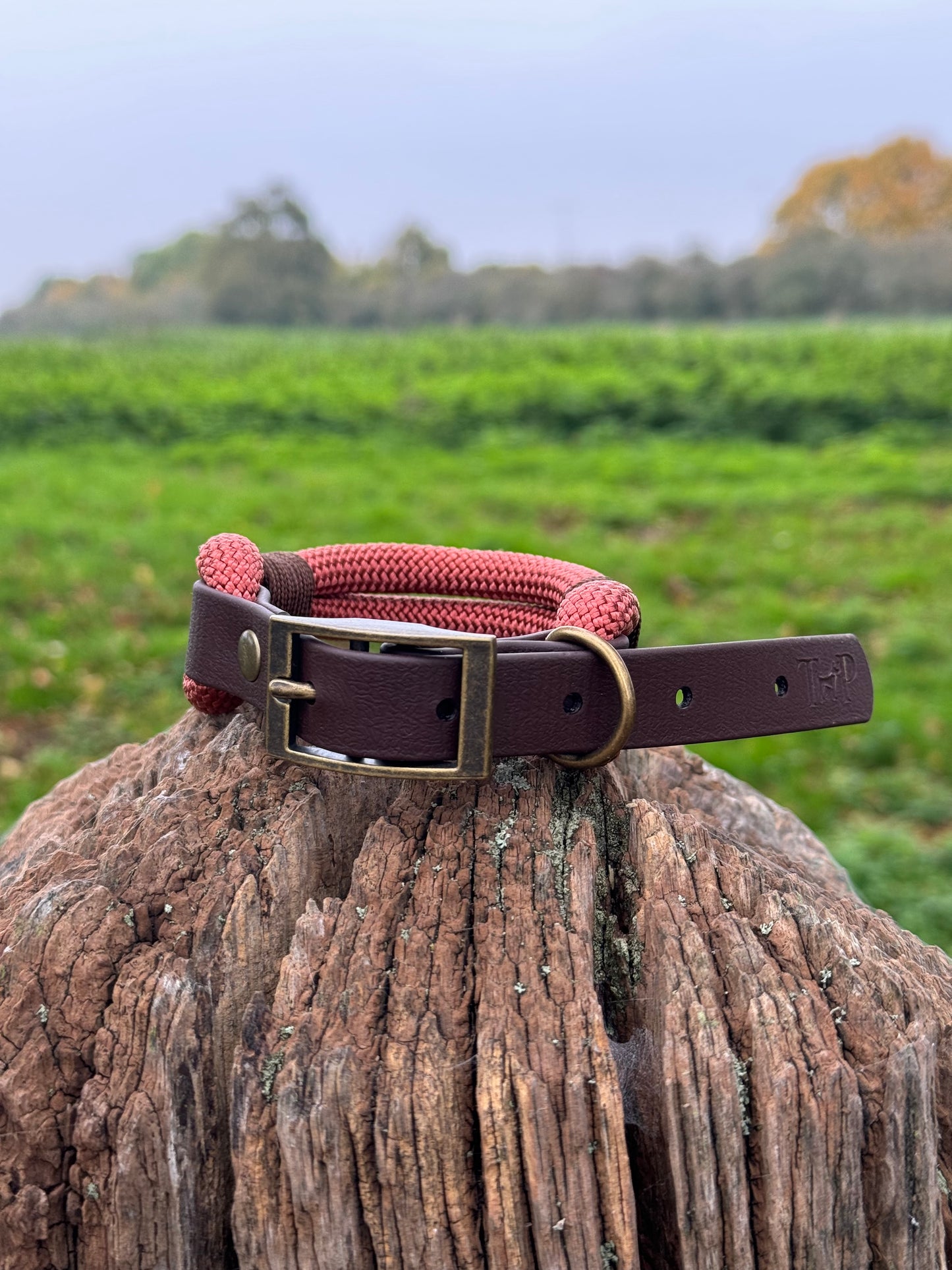 RUST & DARK BROWN - Classic Rope BioThane® Dog Collar