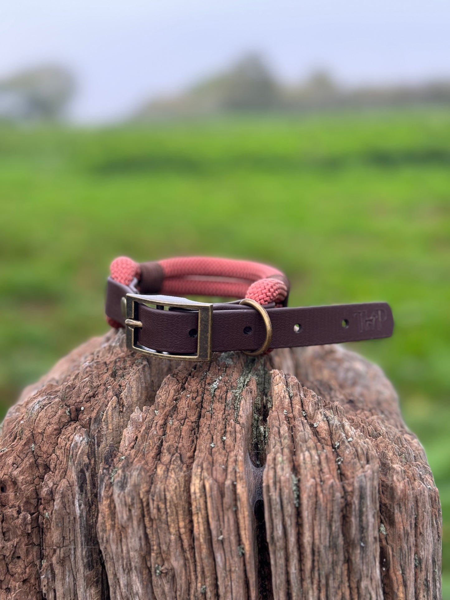 RUST & DARK BROWN - Classic Rope BioThane® Dog Collar