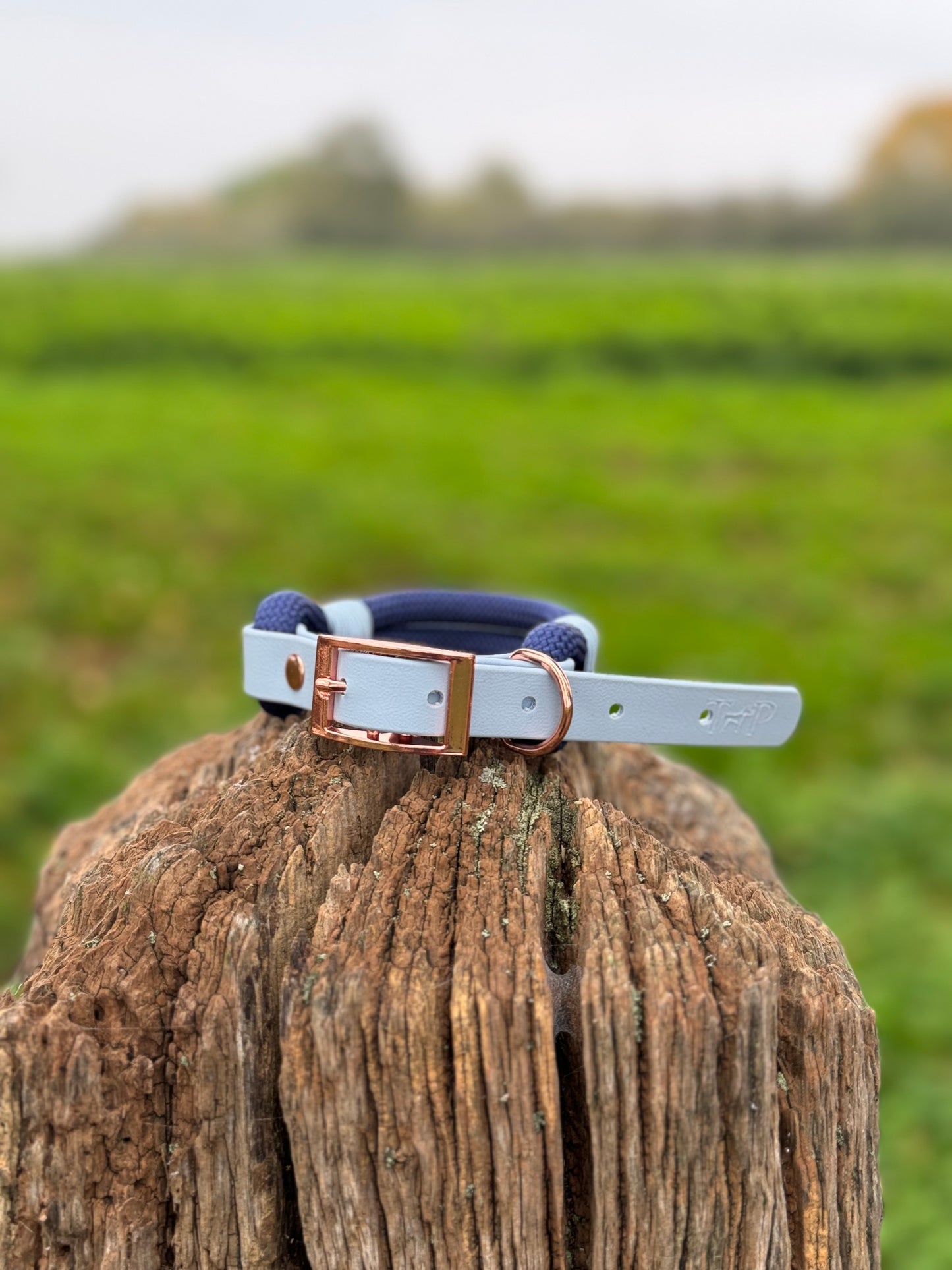 NAVY & BABY BLUE - Classic Rope BioThane® Dog Collar