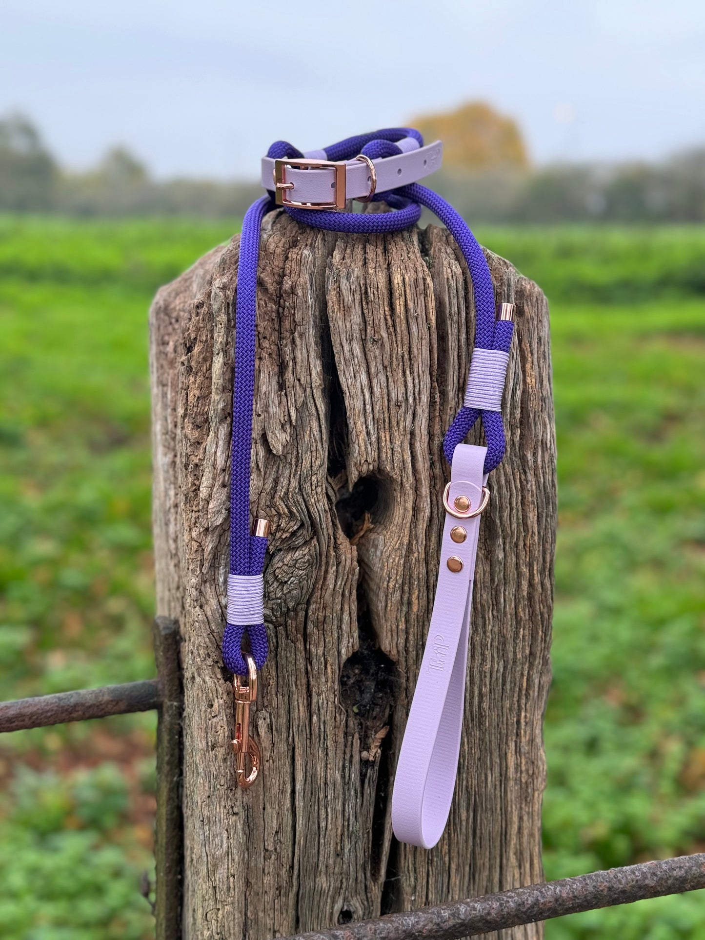 PURPLE & LILAC - Classic Rope BioThane® Dog Collar