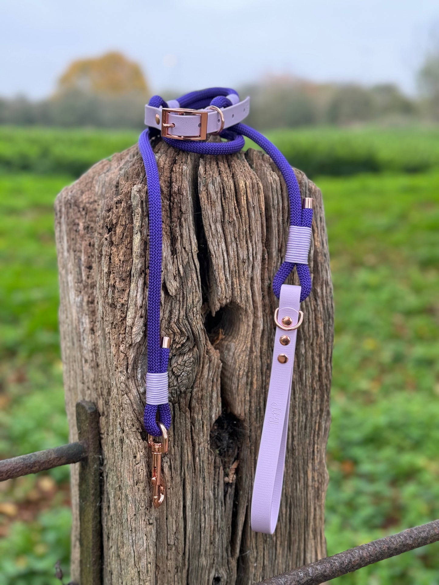 DESIGN YOUR OWN - Classic Rope Collar & Lead Bundle