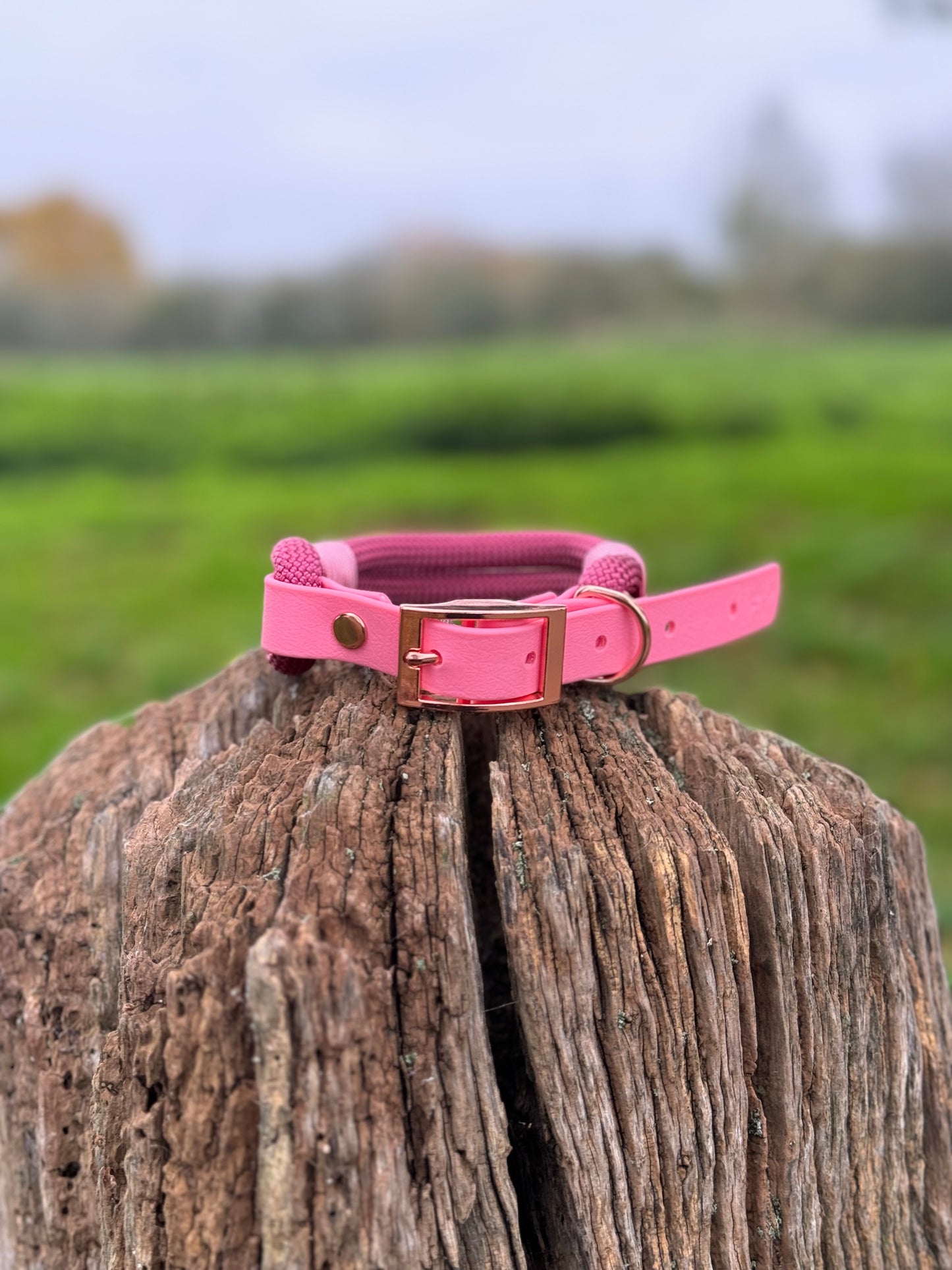 BURGUNDY & BABY PINK - Premium Rope & BioThane® Dog Collar/Lead/Bundles