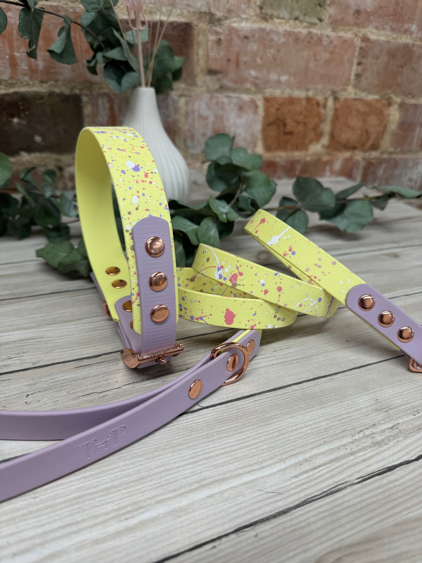 Pastel Splatter Collection Lemon -  BioThane waterproof Splatter Dog Collar & Lead