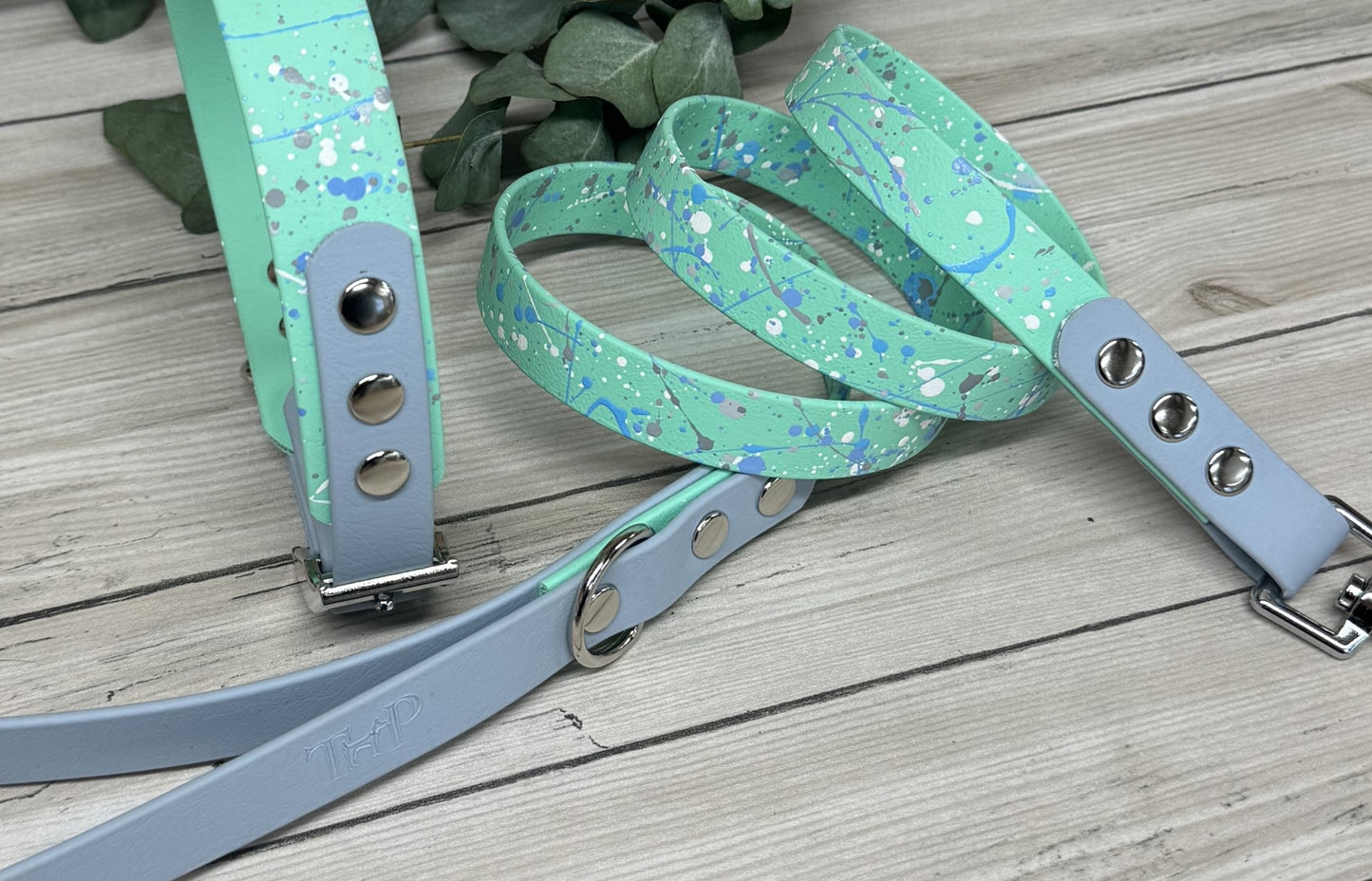 Pastel Splatter Collection Seafoam -  BioThane waterproof Splatter Dog Collar & Lead