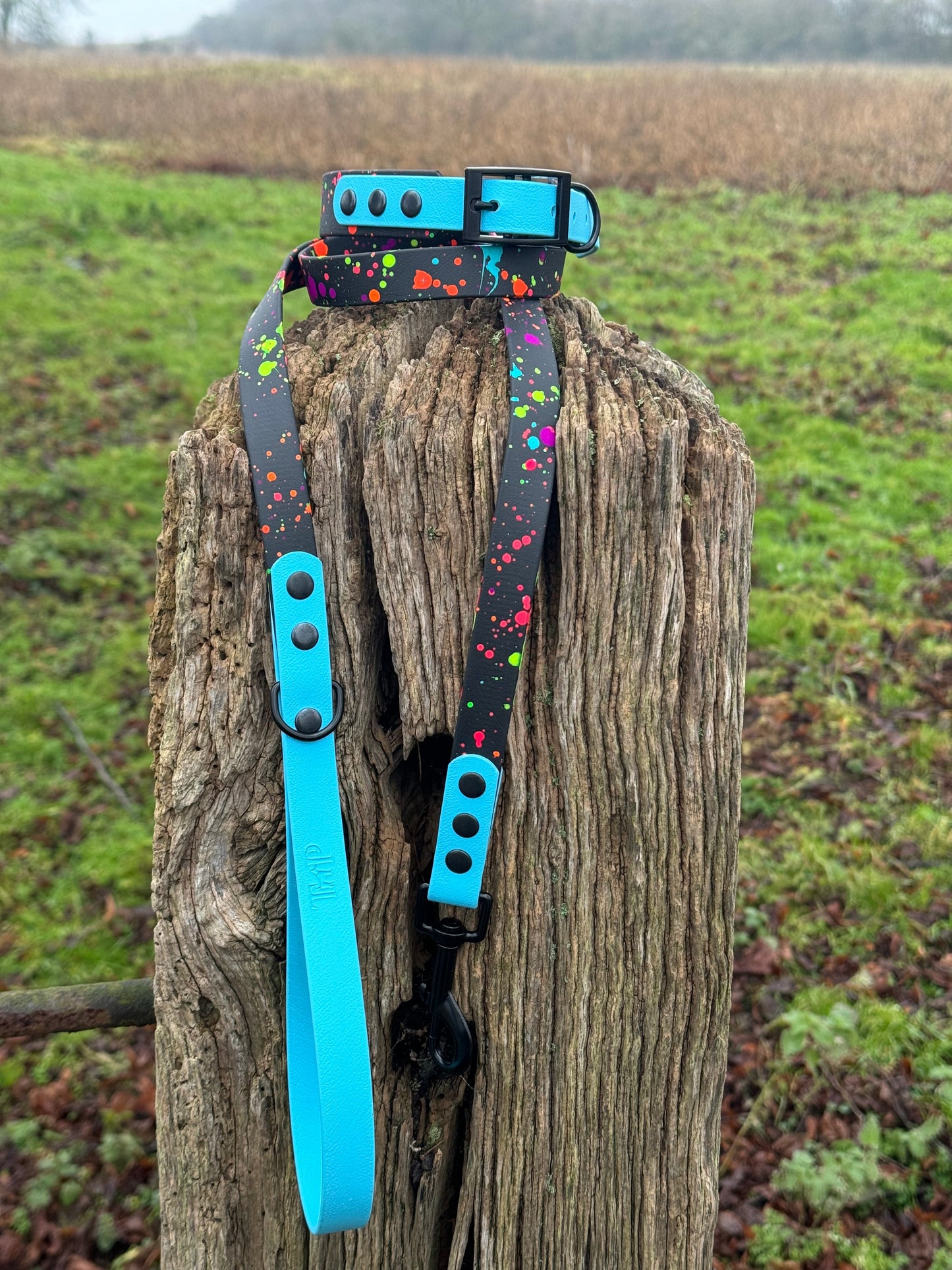 Neon Splatter Collection Bundle - 24-piece waterproof BioThane® Collar & Lead Bundle
