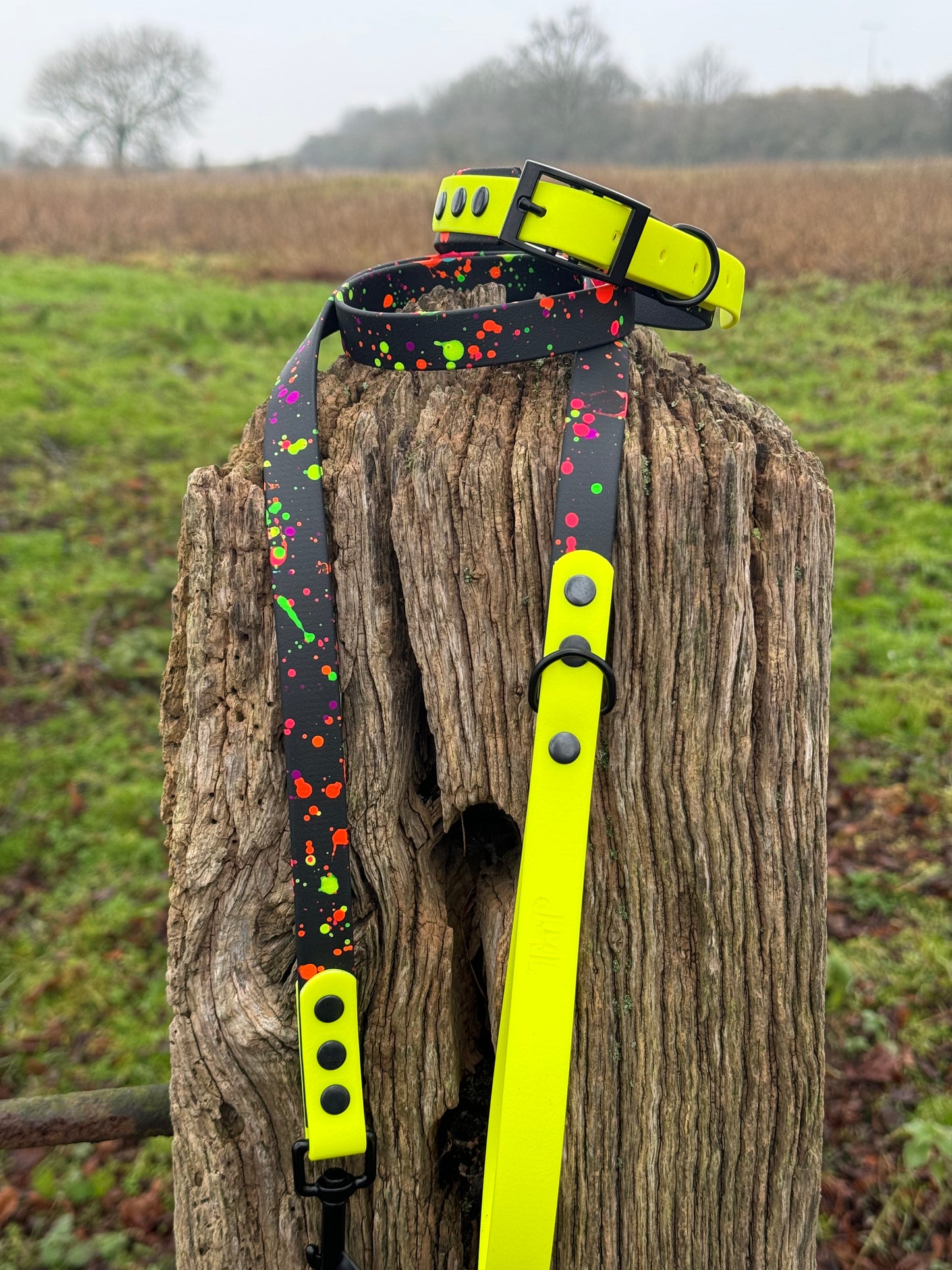 Neon Splatter Collection Neon Yellow -  BioThane waterproof Splatter Dog Collar & Lead