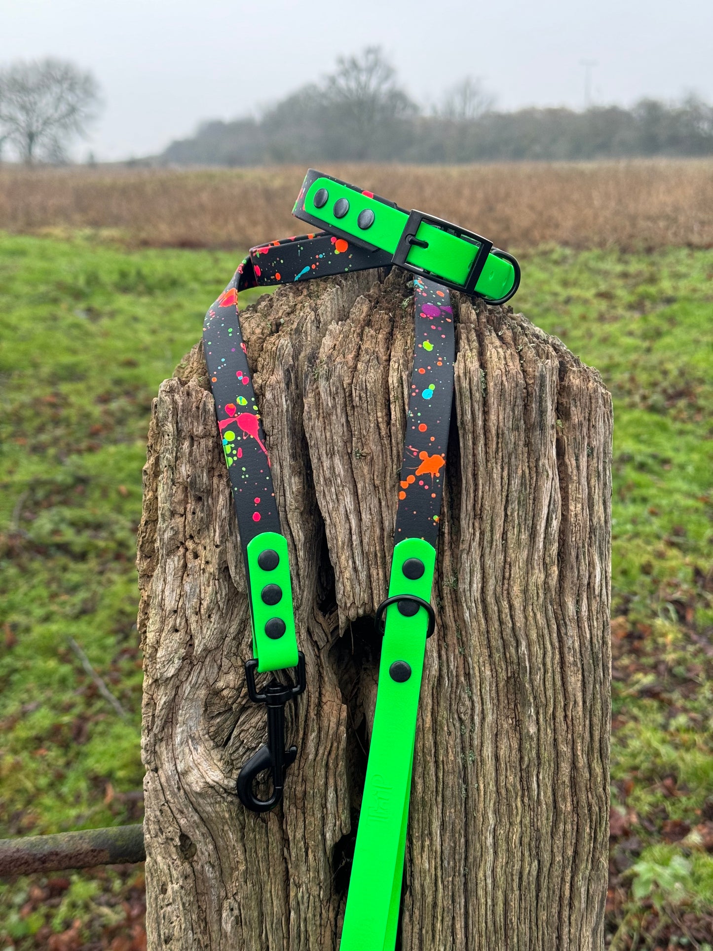 Neon Splatter Collection Bundle - 24-piece waterproof BioThane® Collar & Lead Bundle