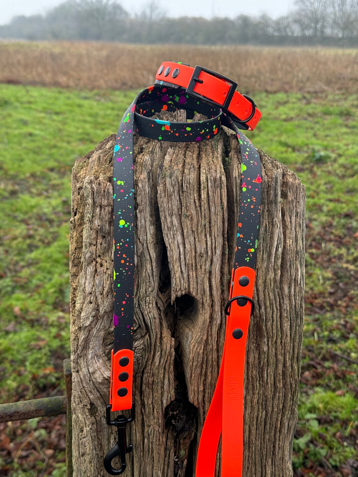 Neon Splatter Collection Neon Orange -  BioThane waterproof Splatter Dog Collar & Lead
