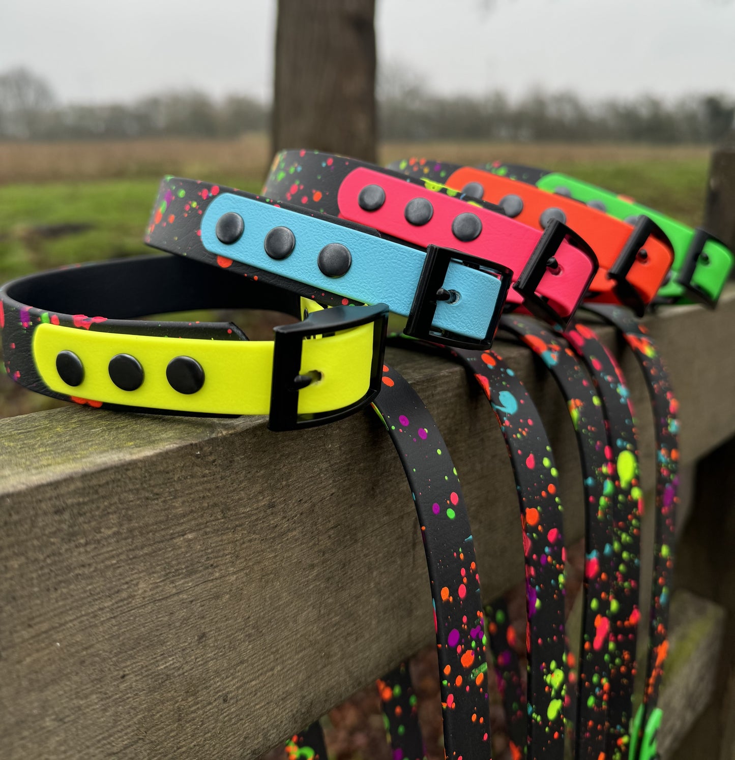 Neon Splatter Collection Neon Orange -  BioThane waterproof Splatter Dog Collar & Lead