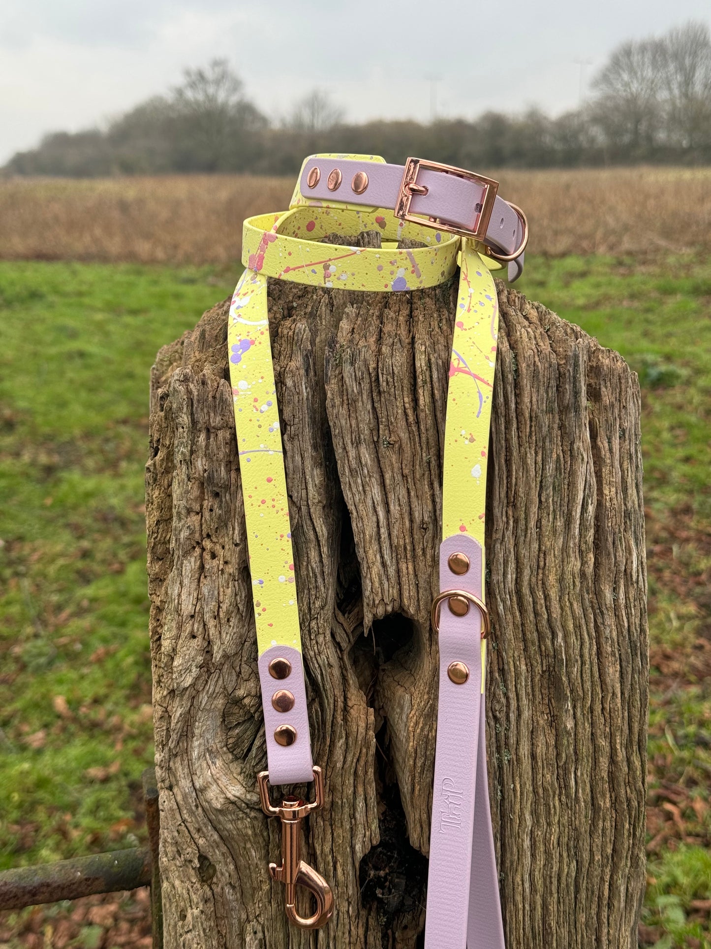 Lavender Lemonade – Waterproof BioThane® Splatter Dog Collar