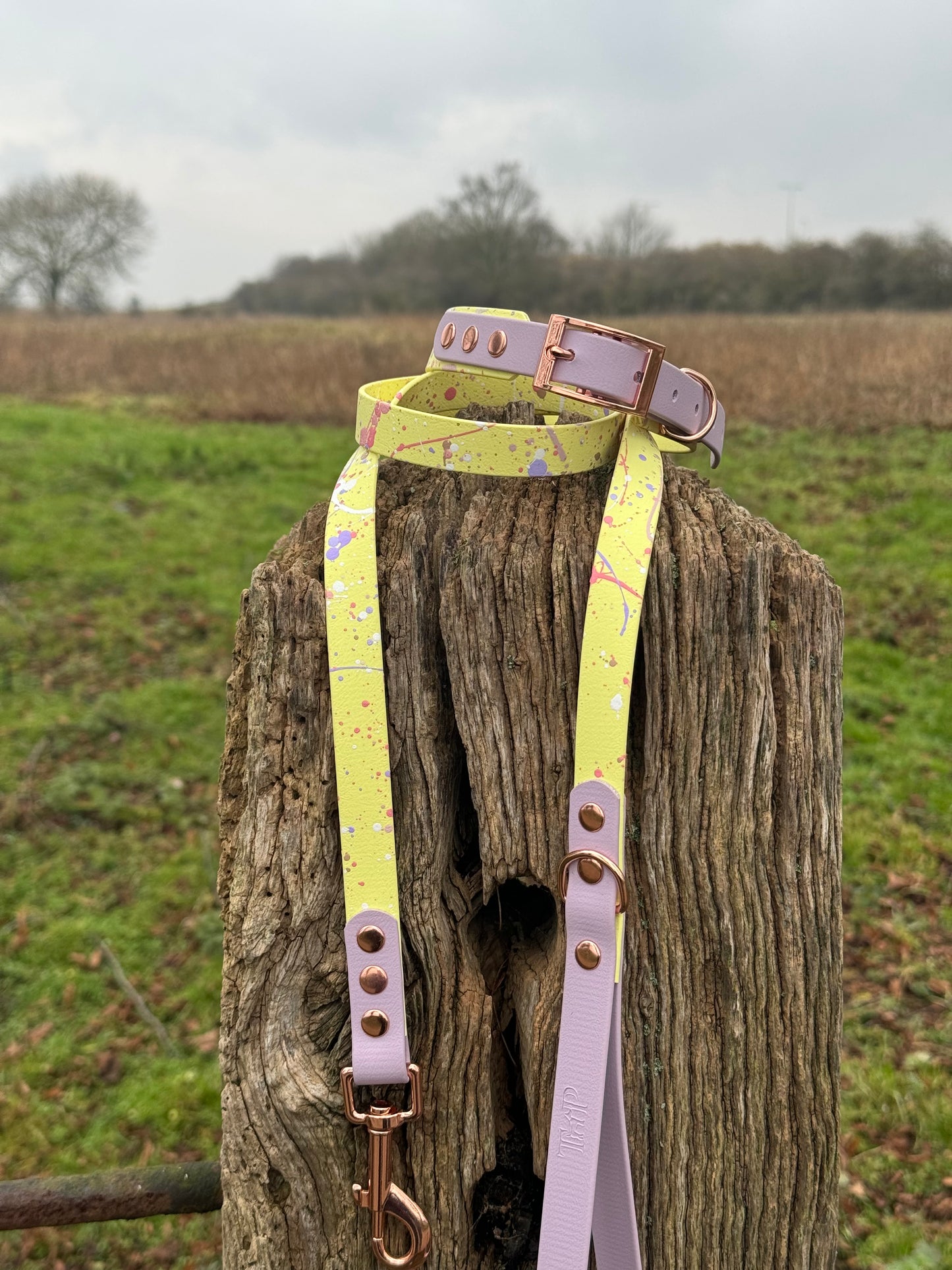 Pastel Splatter Collection Lemon -  BioThane waterproof Splatter Dog Collar & Lead