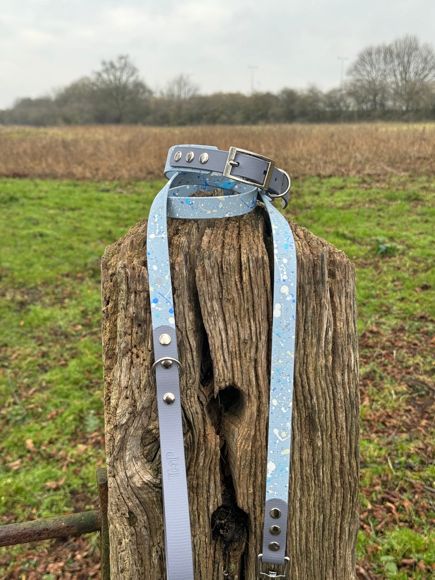 Morning Dew – Waterproof BioThane® Splatter Dog Lead