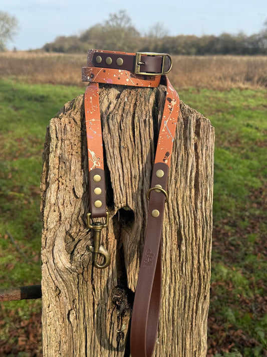 Terra Light Brown - BioThane waterproof Splatter Dog Collar & Lead