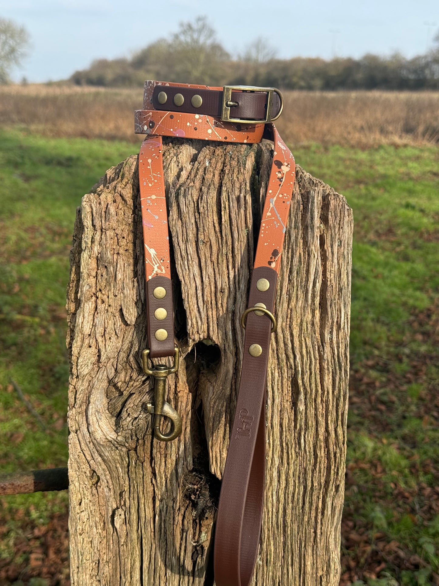 Timberline - BioThane waterproof Splatter Dog Collar Terra Collection
