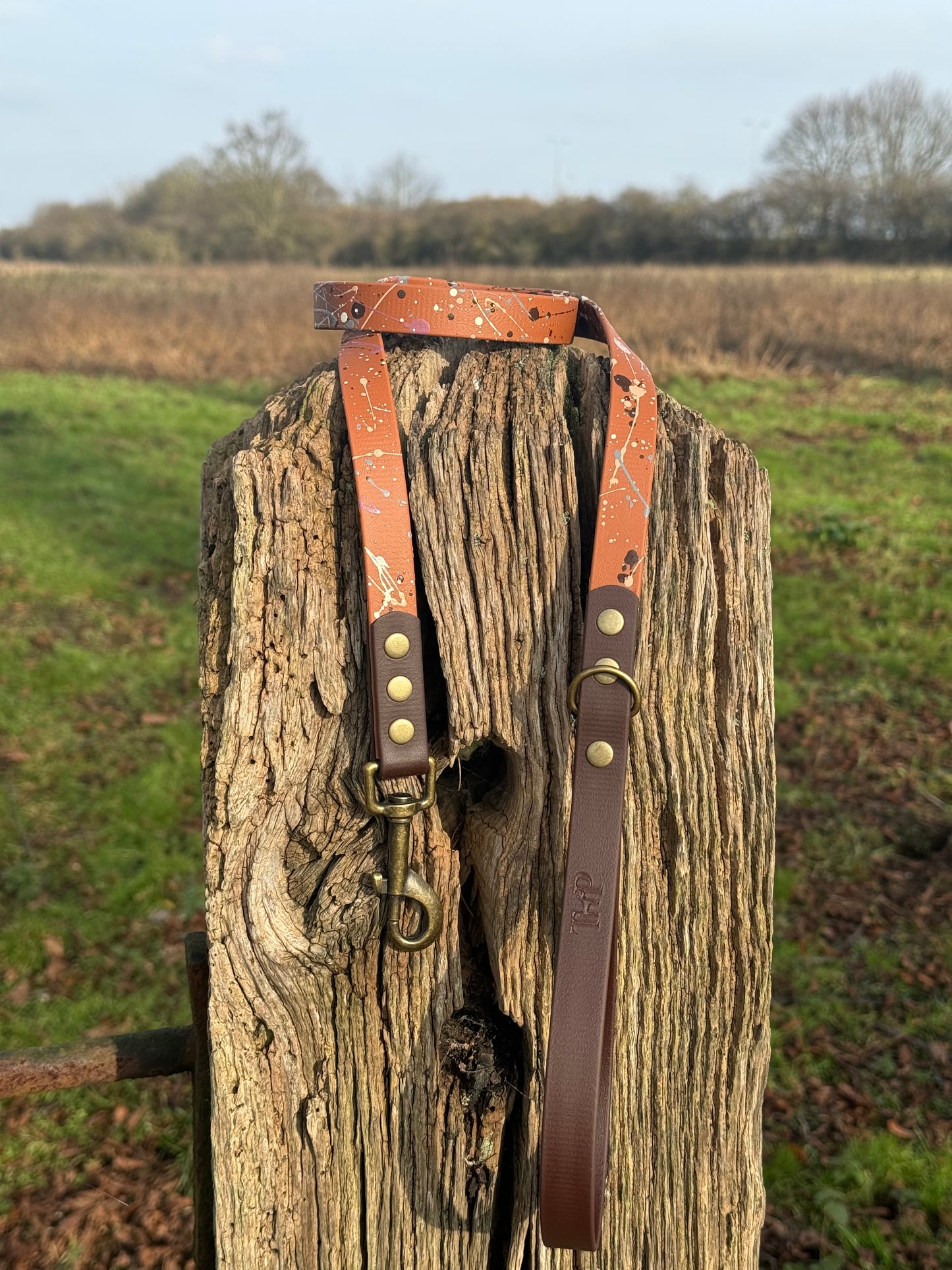 Timberline - BioThane waterproof Splatter Dog Lead Terra Collection