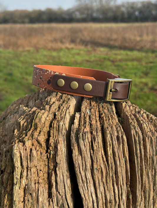 Timberline - BioThane waterproof Splatter Dog Collar Terra Collection